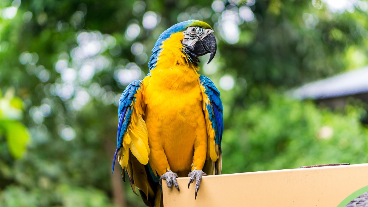 veterinary clinics